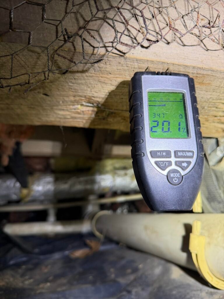 Moisture meter showing an elevated reading on a floor joist
