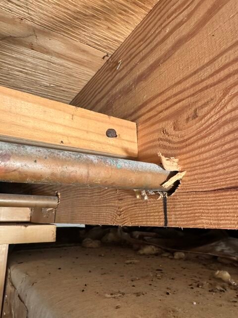 Pipe passing through the lower third of a floor joist with no collar