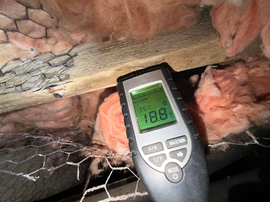 Moisture meter showing a slightly elevated reading on a floor joist