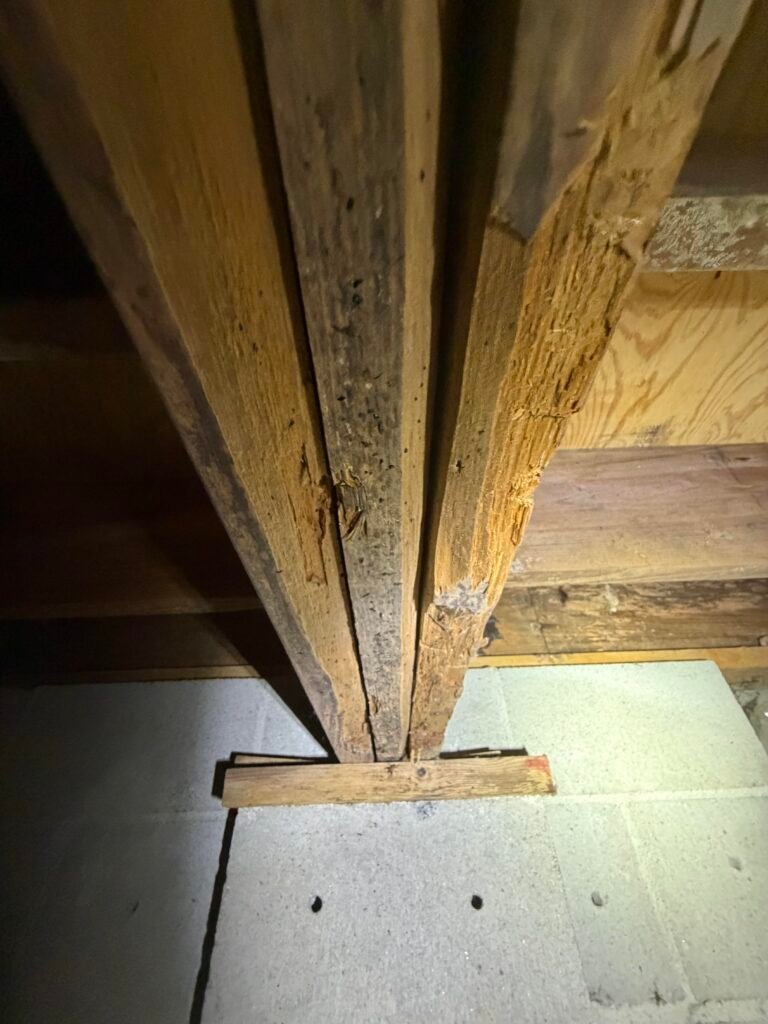 Underside of a wood girder not fully bearing on its support, with wood-destroying insect damage
